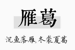 雁葛名字的寓意及含义