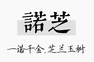 诺芝名字的寓意及含义