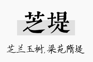 芝堤名字的寓意及含义