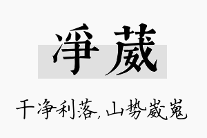 净葳名字的寓意及含义