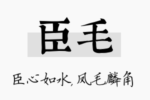 臣毛名字的寓意及含义