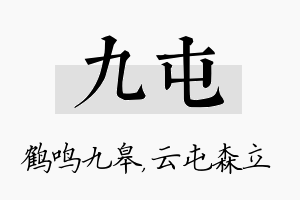 九屯名字的寓意及含义