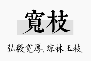 宽枝名字的寓意及含义