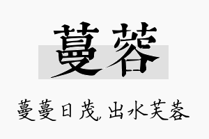 蔓蓉名字的寓意及含义