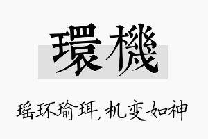 环机名字的寓意及含义