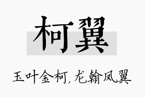 柯翼名字的寓意及含义