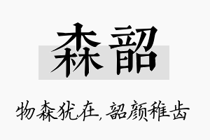 森韶名字的寓意及含义