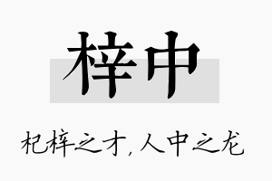 梓中名字的寓意及含义