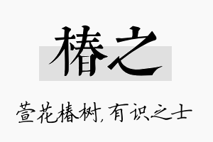 椿之名字的寓意及含义