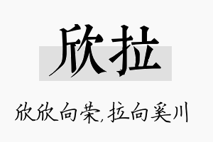 欣拉名字的寓意及含义