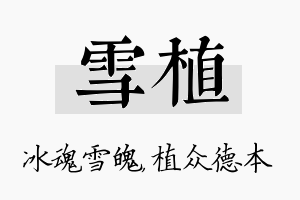 雪植名字的寓意及含义