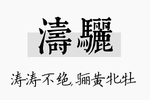 涛骊名字的寓意及含义