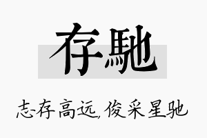 存驰名字的寓意及含义