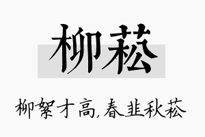 柳菘名字的寓意及含义