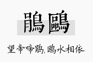 鹃鸥名字的寓意及含义