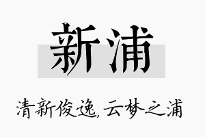 新浦名字的寓意及含义