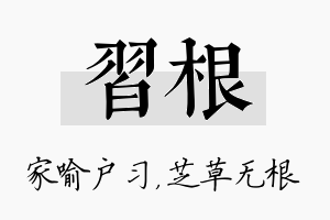 习根名字的寓意及含义