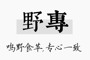 野专名字的寓意及含义