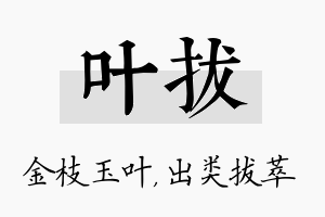 叶拔名字的寓意及含义