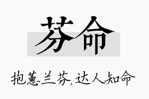 芬命名字的寓意及含义