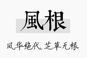 风根名字的寓意及含义