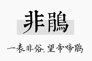 非鹃名字的寓意及含义