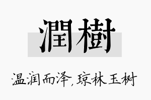 润树名字的寓意及含义