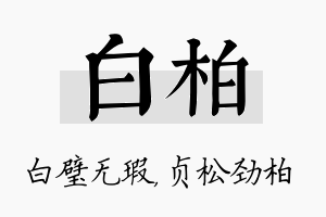 白柏名字的寓意及含义