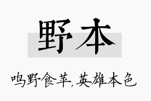 野本名字的寓意及含义