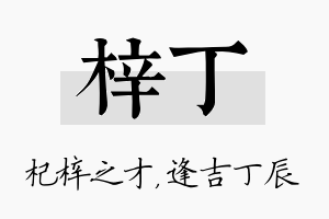 梓丁名字的寓意及含义