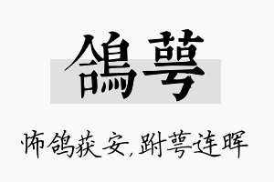 鸽萼名字的寓意及含义