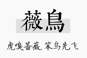 薇鸟名字的寓意及含义