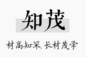 知茂名字的寓意及含义