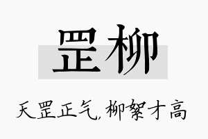 罡柳名字的寓意及含义