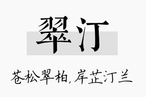 翠汀名字的寓意及含义