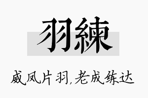 羽练名字的寓意及含义