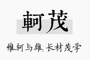 轲茂名字的寓意及含义