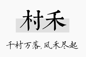 村禾名字的寓意及含义