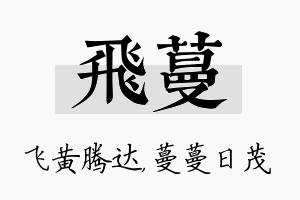 飞蔓名字的寓意及含义