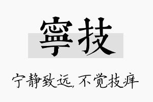 宁技名字的寓意及含义