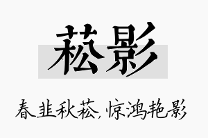 菘影名字的寓意及含义