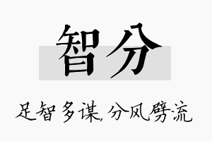 智分名字的寓意及含义