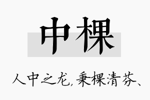 中棵名字的寓意及含义