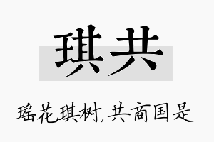 琪共名字的寓意及含义