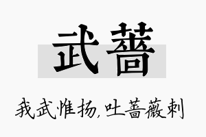 武蔷名字的寓意及含义