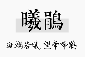 曦鹃名字的寓意及含义