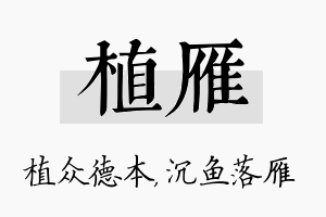 植雁名字的寓意及含义