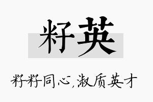 籽英名字的寓意及含义