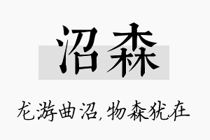 沼森名字的寓意及含义