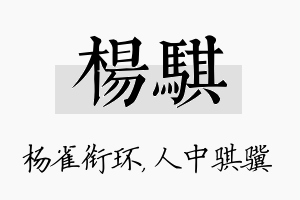 杨骐名字的寓意及含义